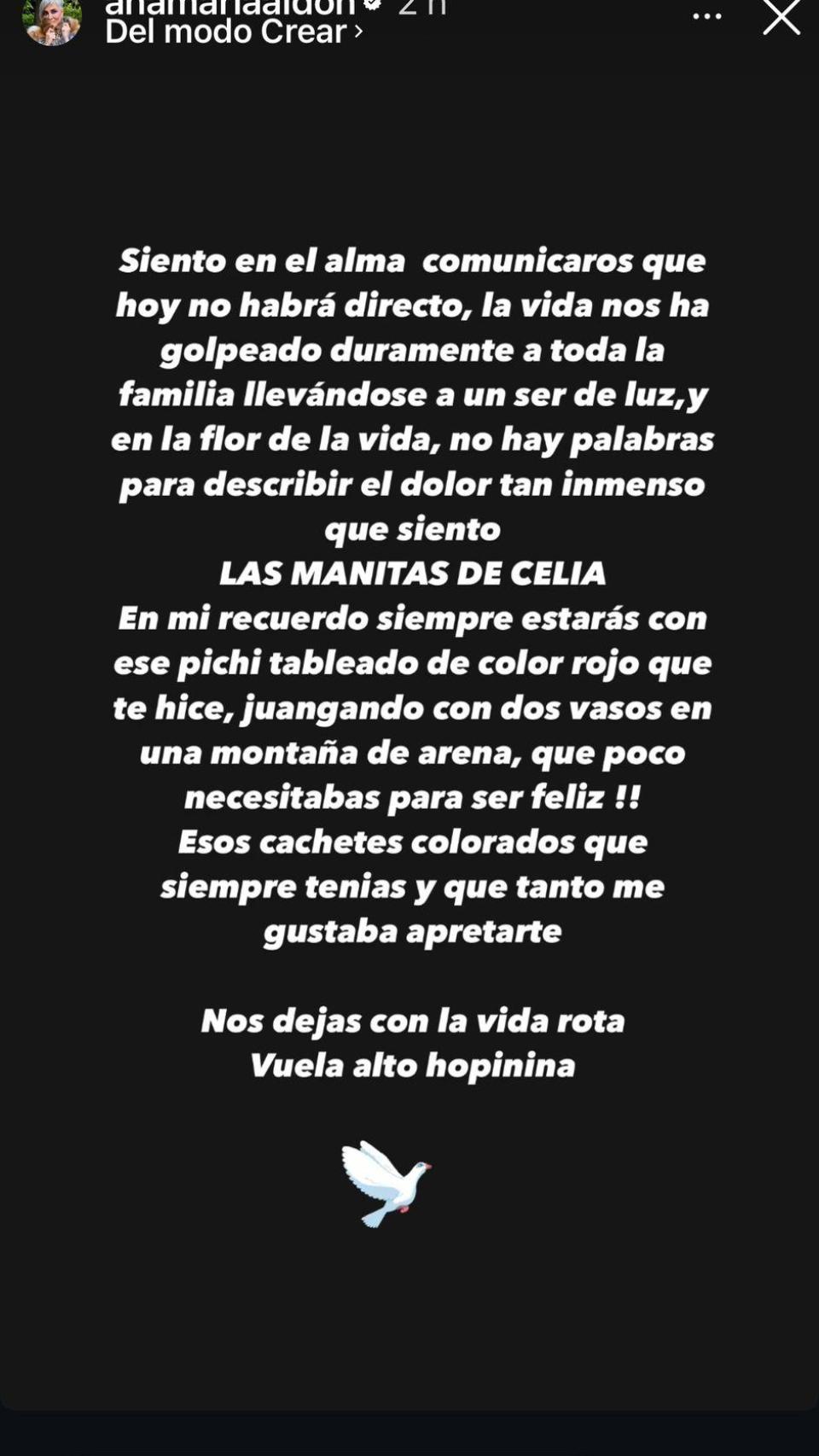 Declaración de Ana María Aldón.