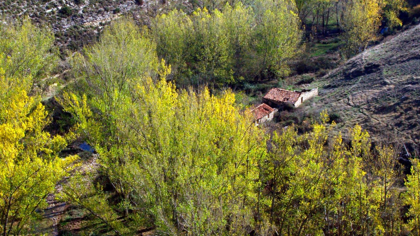 Magaña (Soria)