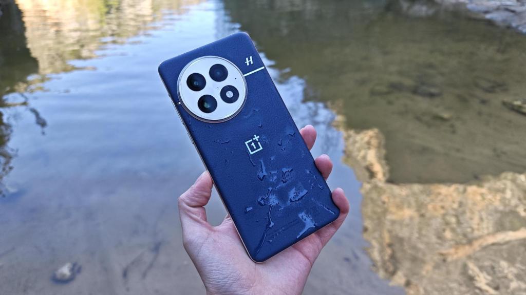 OnePlus 13