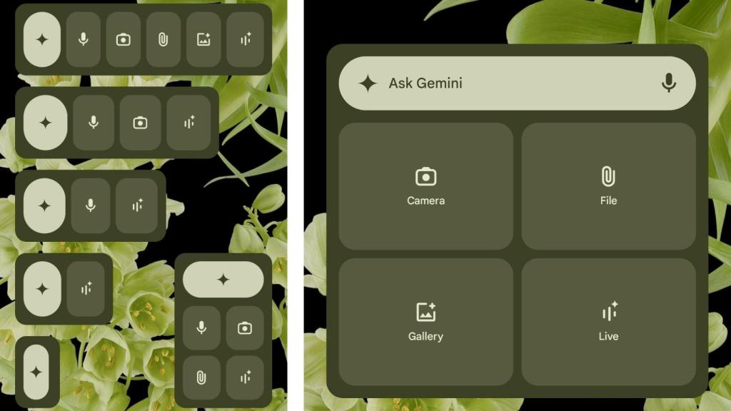 Different gemini widget options