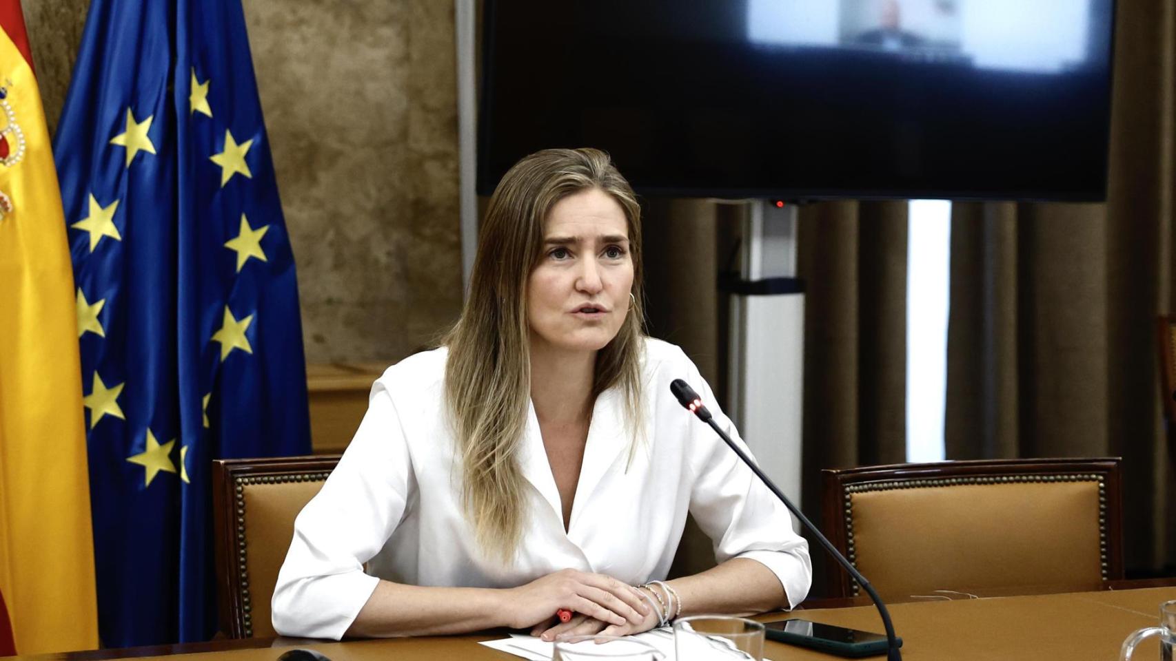 Última hora política, en directo | Aagesen: “Señalar a las renovables me parece irresponsable y simplista”