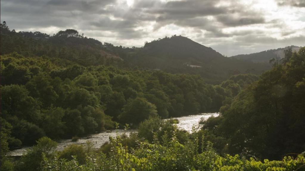 Río Ulla