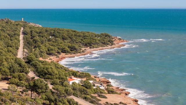 Playa de la Renegà, en Castellón. Turisme CV