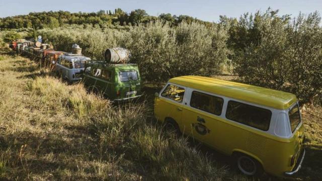 Eslovenia, la hermana 'pequeña' de los productores de aceite de oliva que gana premios con su marca blanca para Aldi