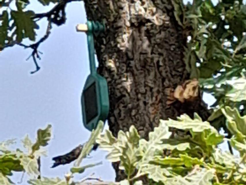 Detalle de uno de los sensores instalados para prevenir incendios.