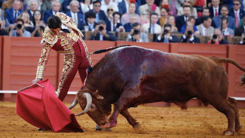 Miguel Ángel Perera pega un derechazo al toro 'Anárquico' premiado con la vuelta al ruedo.
