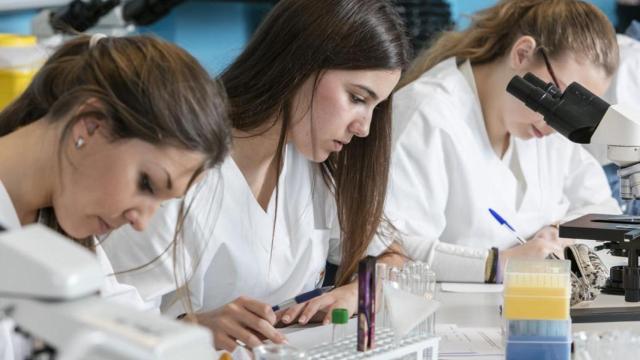 Universidad CEU Cardenal Herrera (CEU UCH).