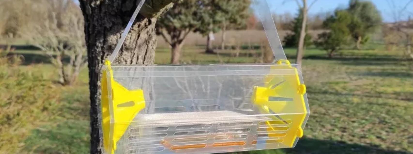 La trampa para avispas V-Guard en un árbol.
