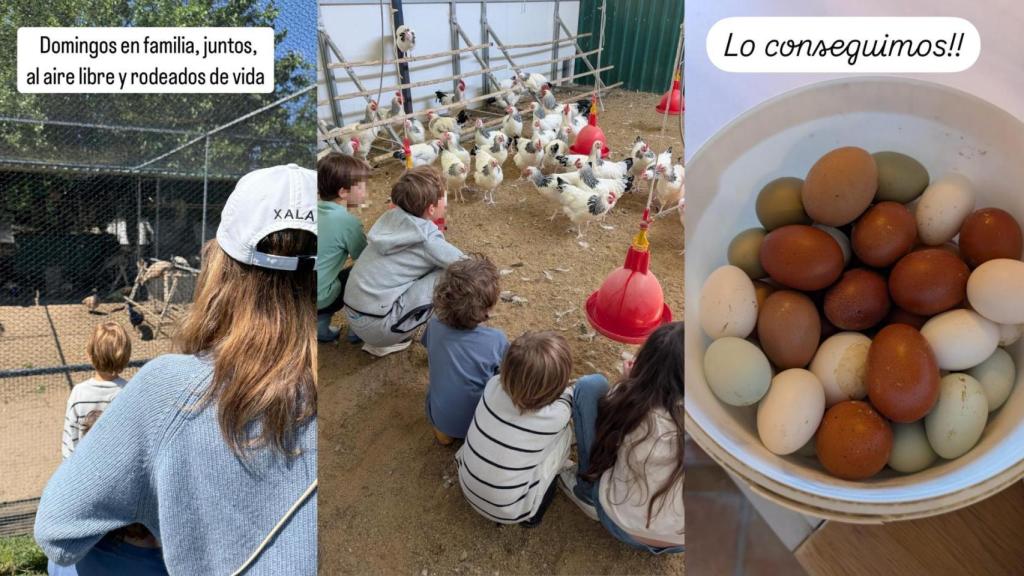 El plan de Alejandra Silva en una granja en Cáceres.