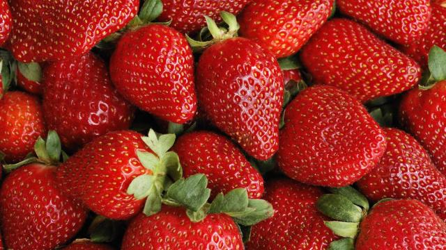 Fresas