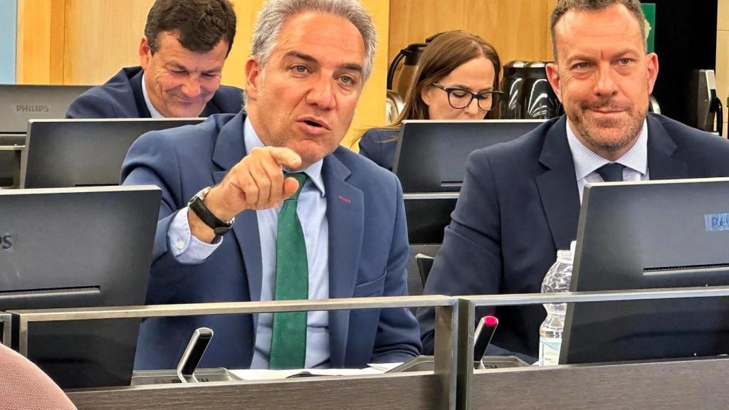 Elías Bendodo, este martes, en el Congreso de los Diputados.