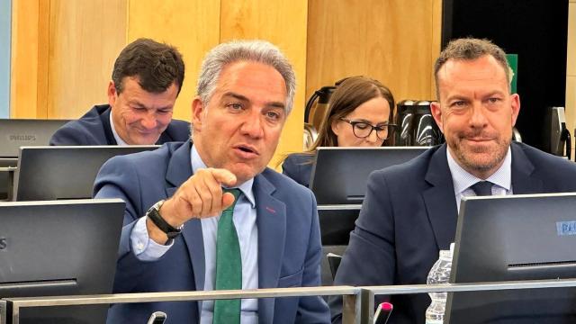 Elías Bendodo, en el Congreso de los Diputados.