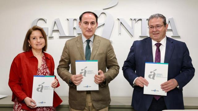 Presentación del informe de Garántia.