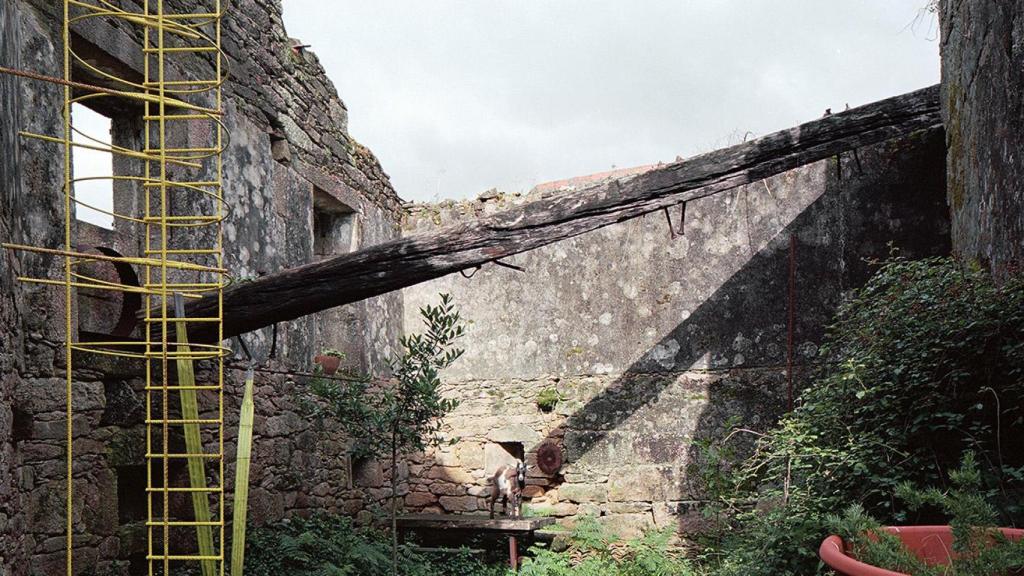 El Jardín de Panchés.