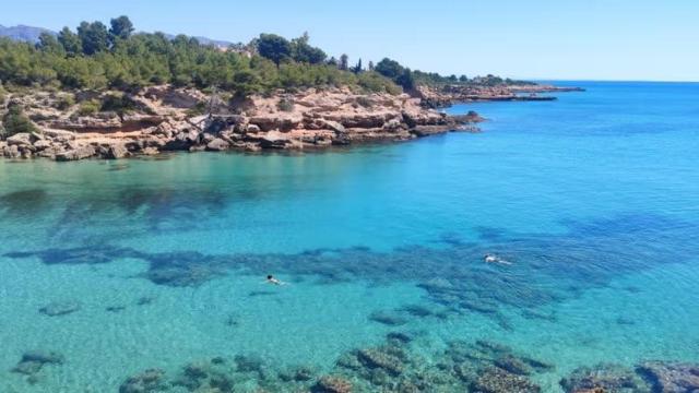 L'ametlla de Mar.