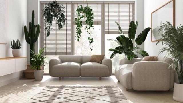 Salón decorado con plantas.