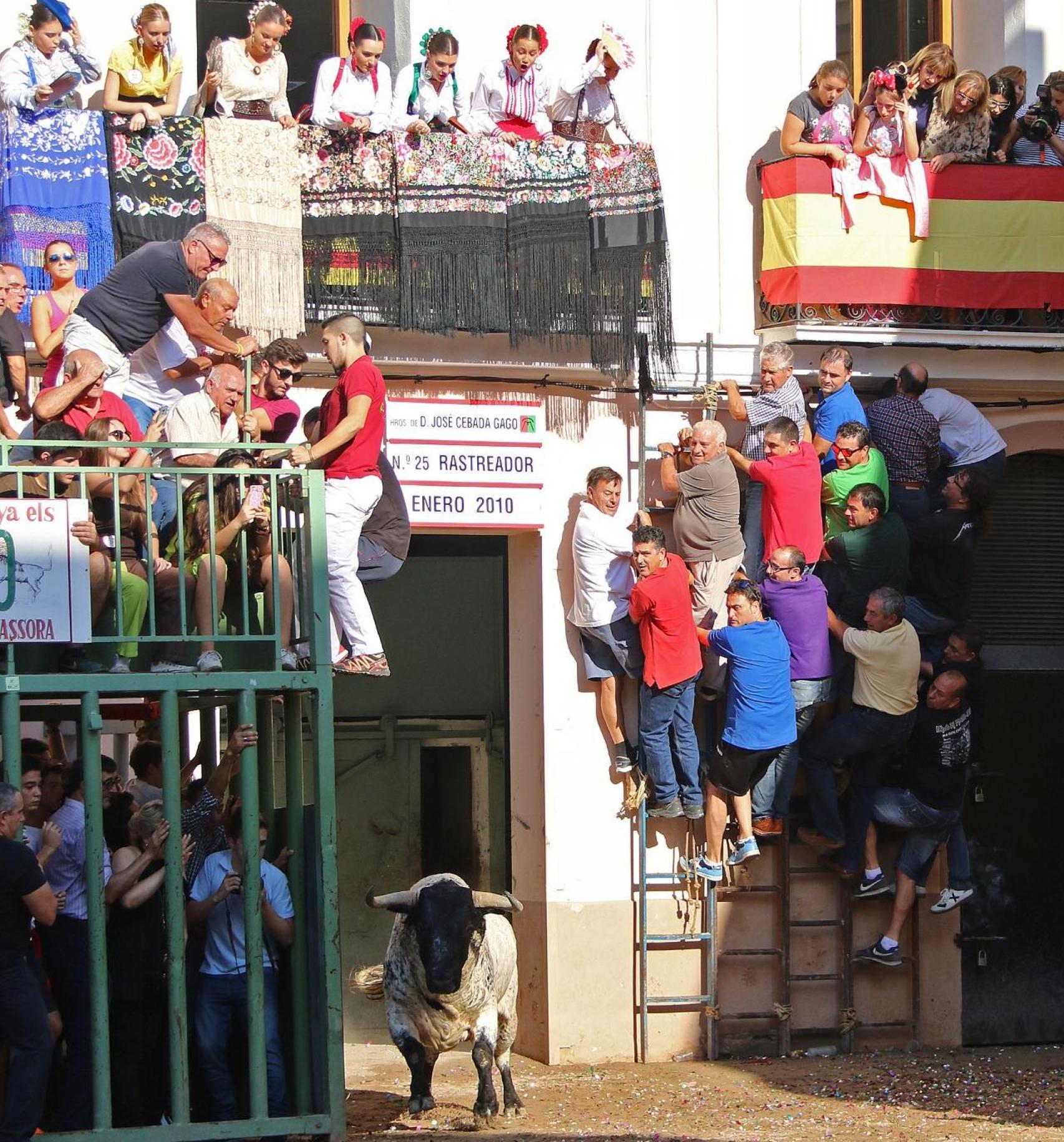 'Bous al carrer', los festejos taurinos de la Comunitat Valenciana. JJ Diago