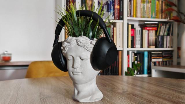 Sony WH-1000XM6.