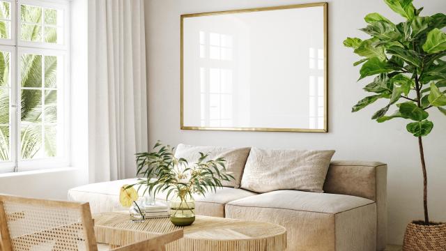 Creadoras de contenido de diseño de interior.
