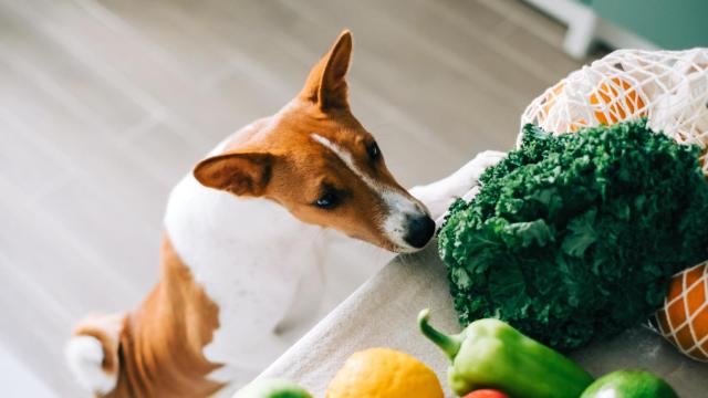 La alimentación es un tema muy debatido.