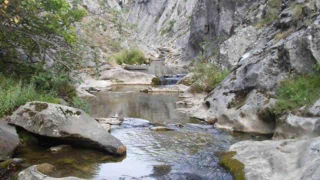 Río Torío