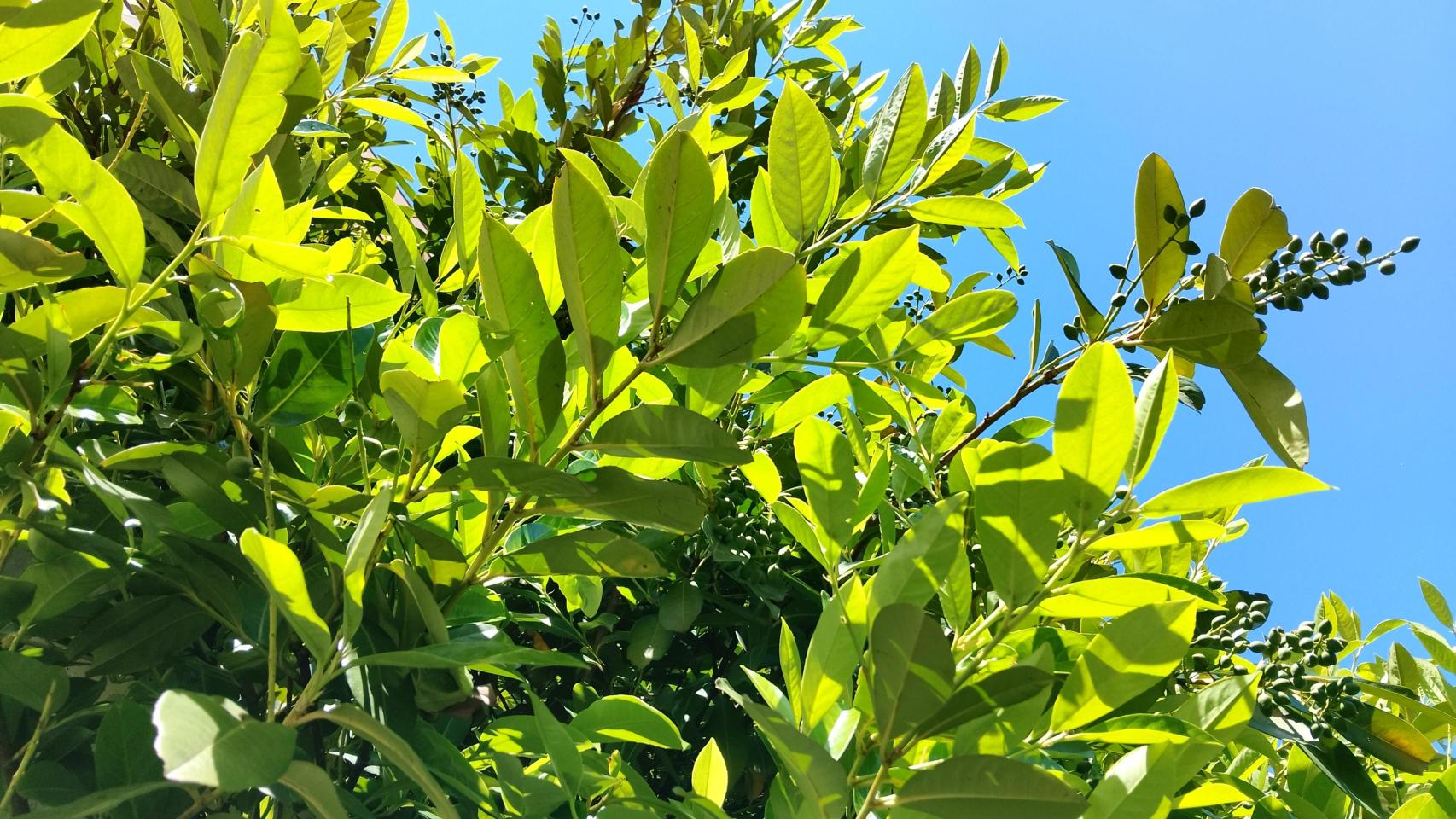 1003743773570_255880034_1706x960.jpg
