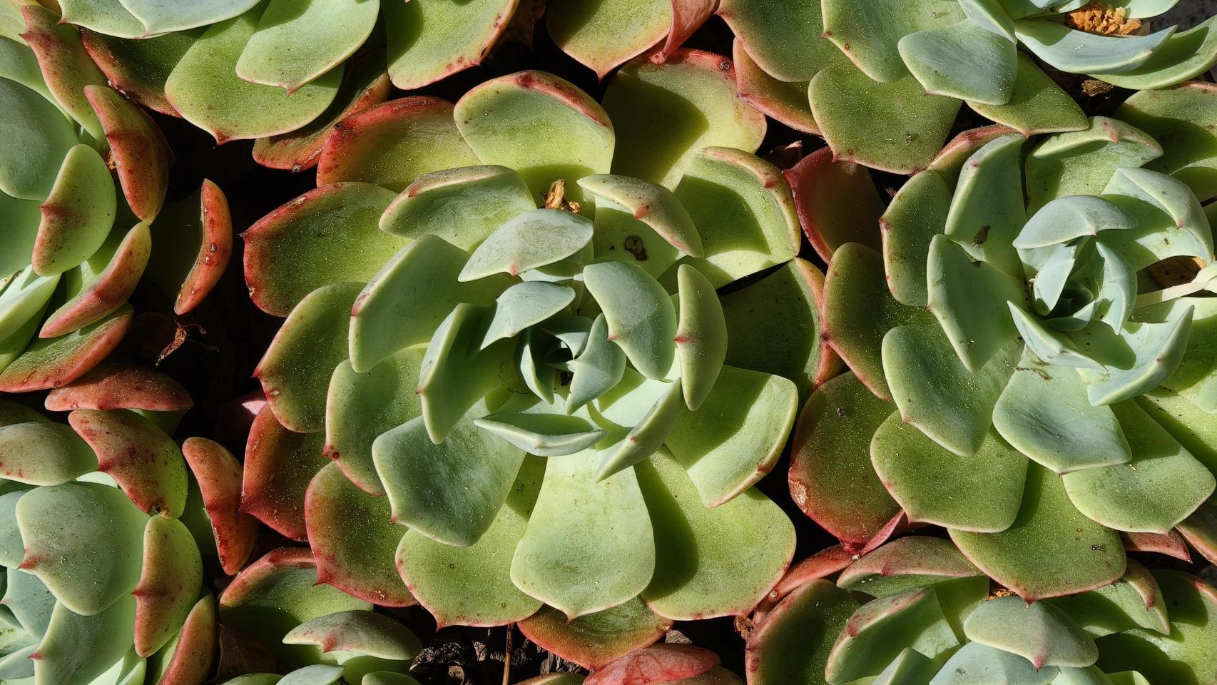 1003743773605_255880962_1706x960.jpg