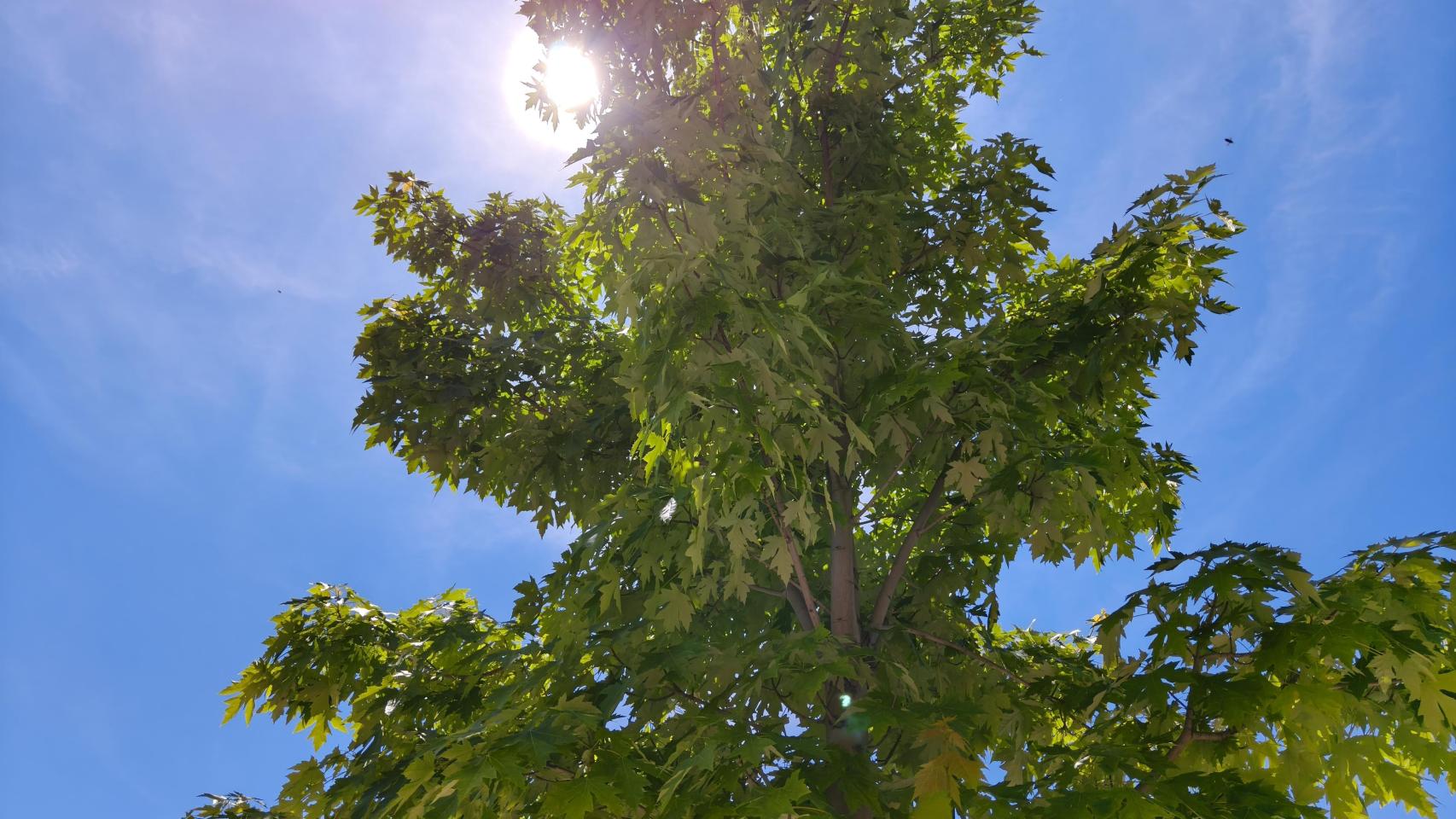 1003743773635_255881674_1706x960.jpg