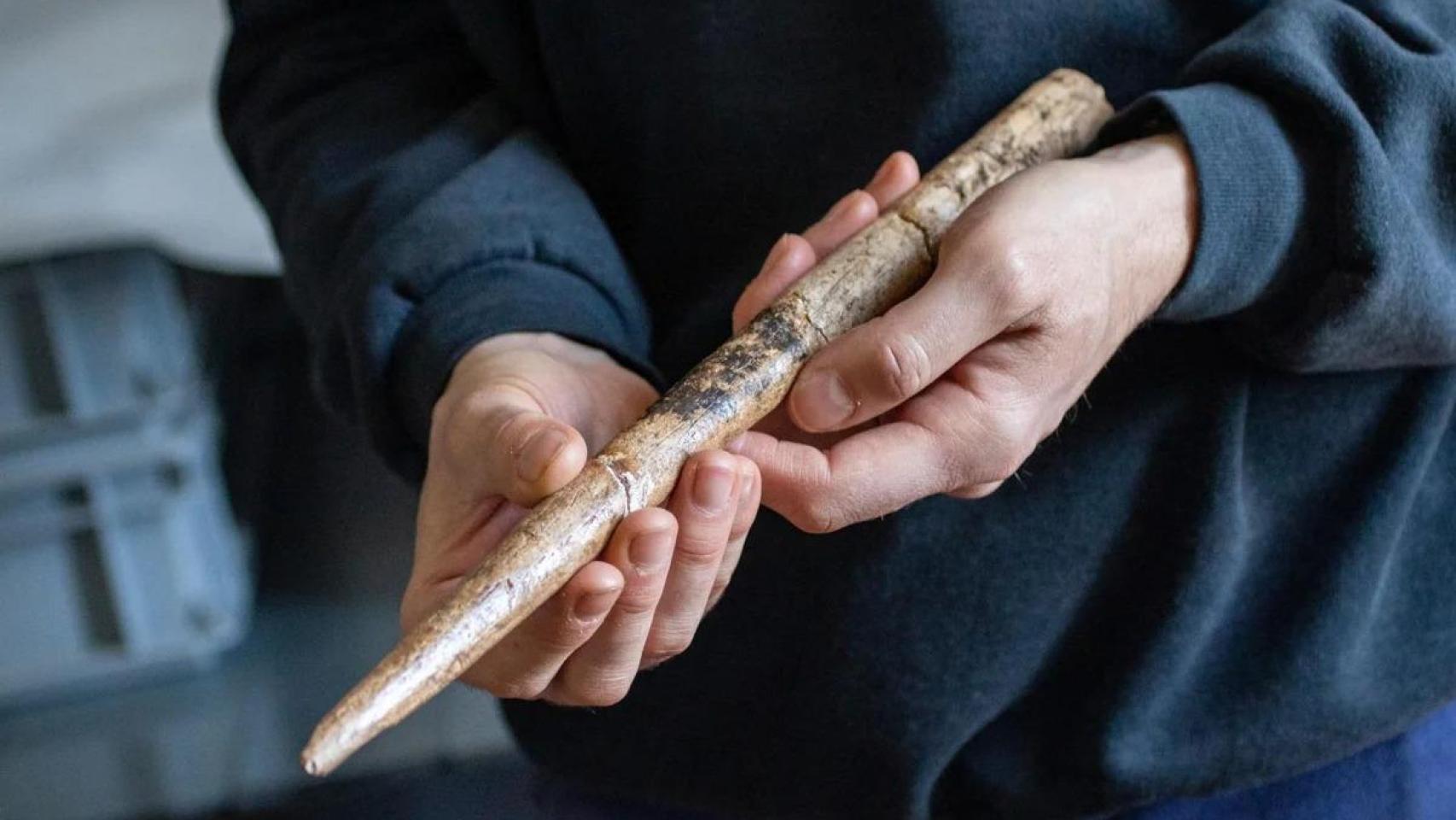 Investigadores españoles hallan en el Golfo de Vizcaya las armas más antiguas hechas con huesos de ballena