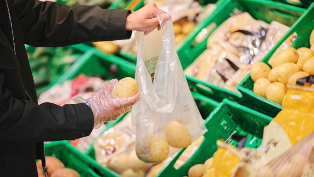 Mercadona prevé incrementar la compra de patata nacional.