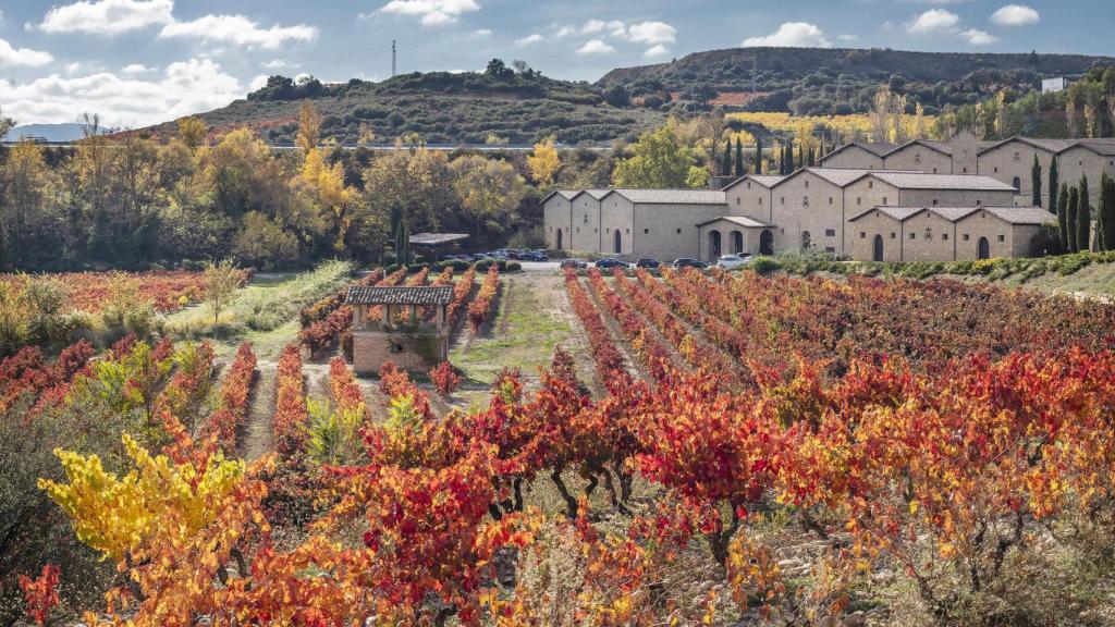 Bodega Marqués de Murrieta.
