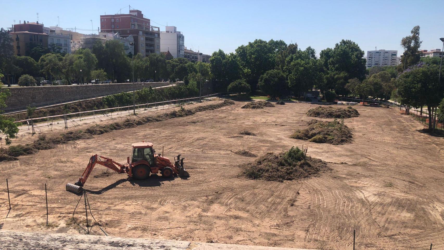 Valencia inicia las obras de su ‘hotel de insectos’ en pleno centro de la ciudad: qué es y cuándo estará
