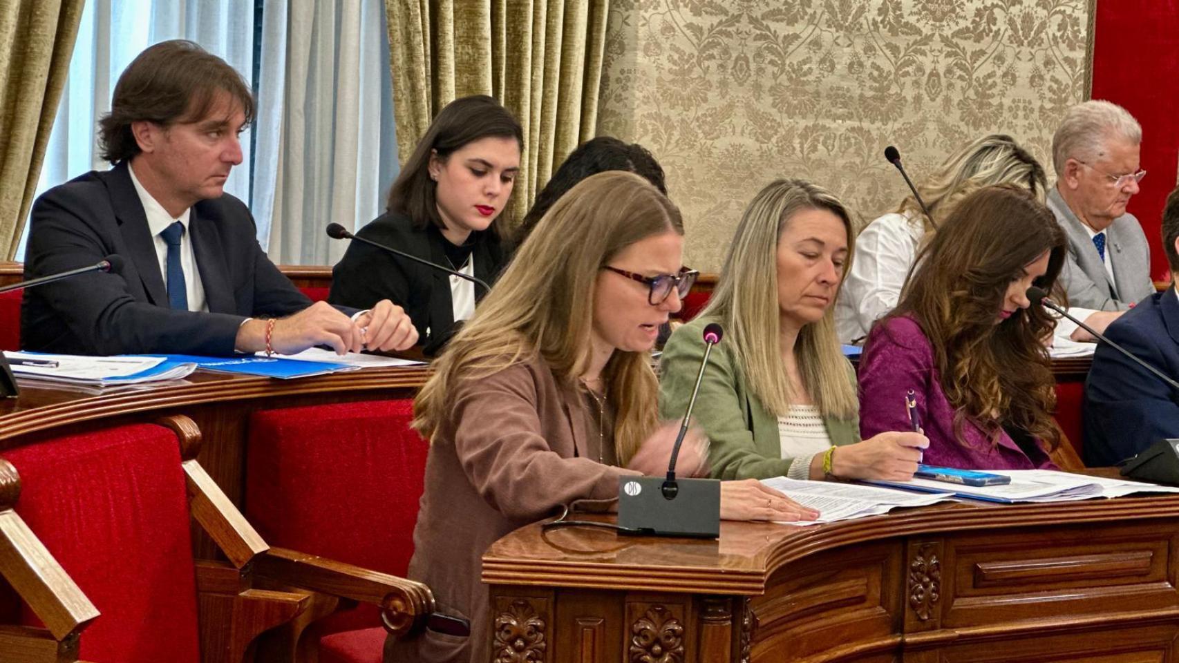 El pleno de alicante impulsa el uso terciario en sótanos y aprueba viviendas sociales en rabasa