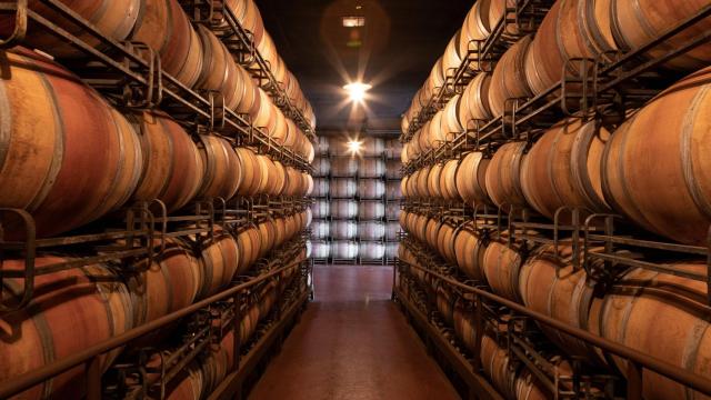 ¿Qué necesita un vino para ser reconocido internacionalmente?
