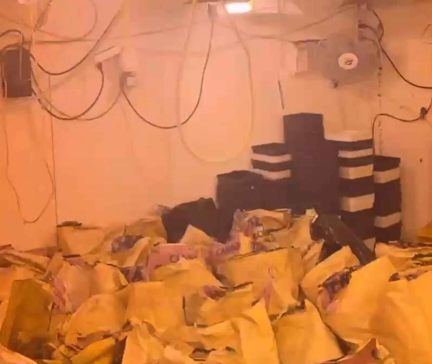 Desmantelan una red de cinco narcopisos en villarrubia de los ojos (ciudad real): hay seis detenidos