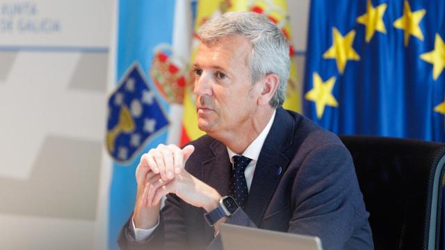 El presidente autonómico Alfonso Rueda en el Consello da Xunta.