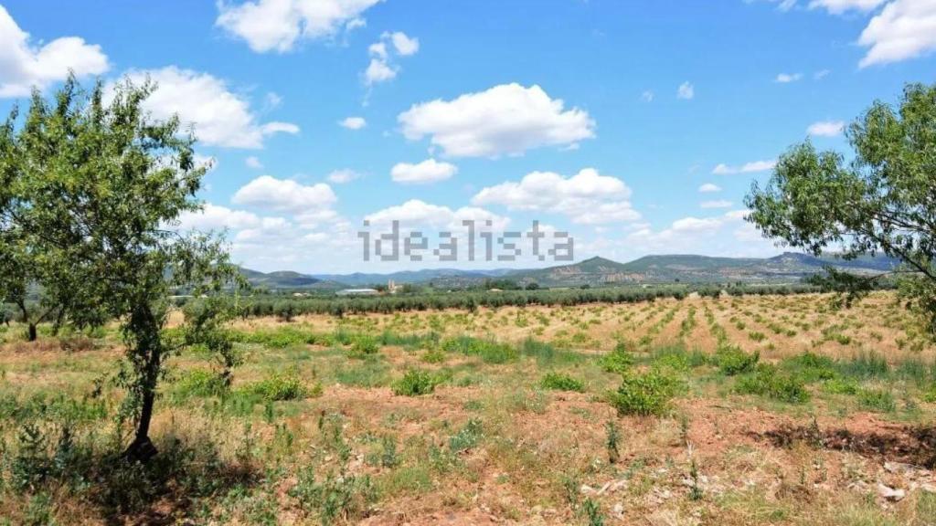 Finca en venta en Ciudad Real. Foto: Idealista.