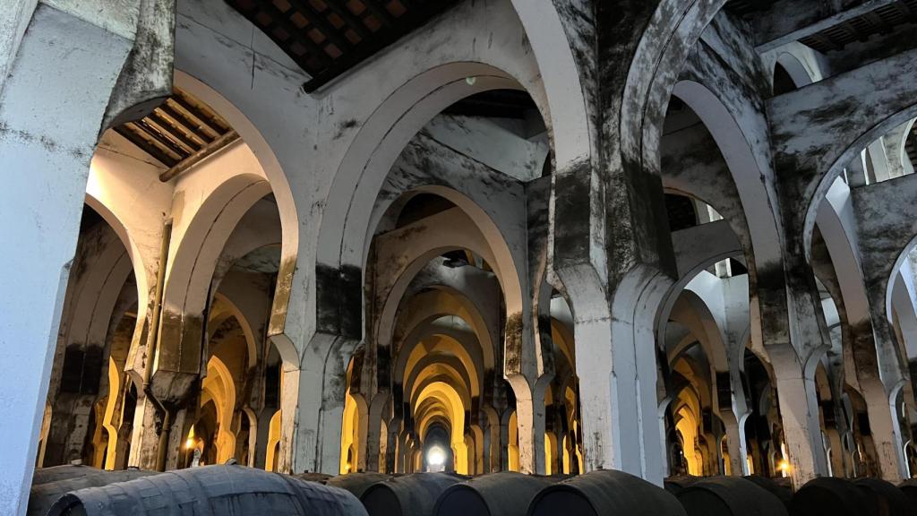 Bodega la Mezquita de Fundador en Jerez, el grupo al que pertenece Terry.
