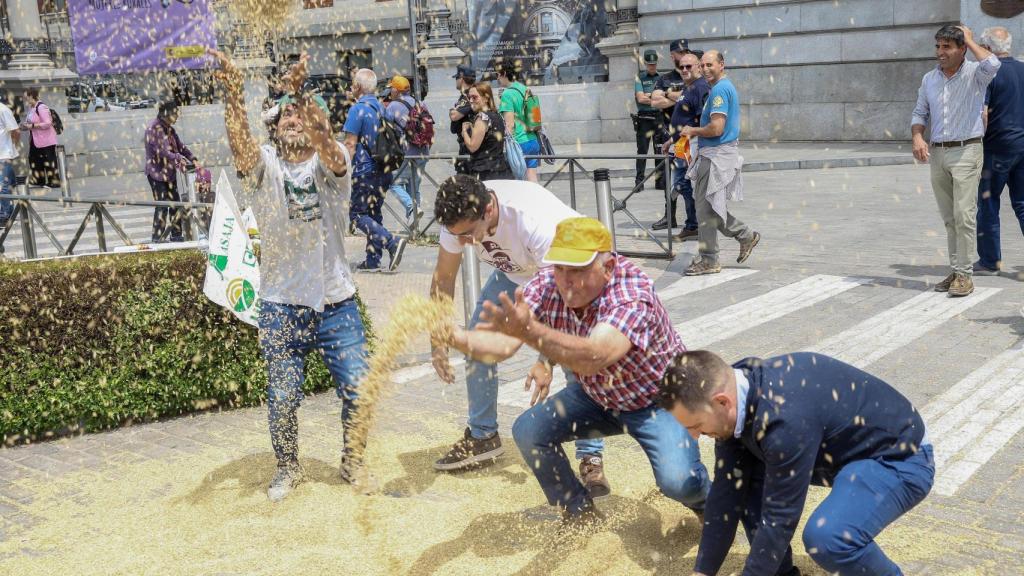 Un grupo de agricultores de Castilla y León tirando cereal en la entrada del Ministerio de Agricultura, Pesca y Alimentación, este miércoles