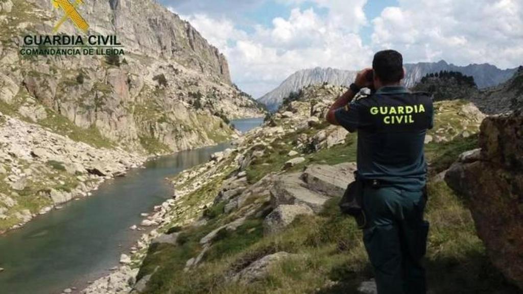 Un agente del SEPRONA en Lleida, haciendo labores de vigiliancia.