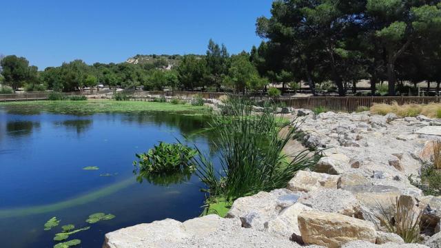 Parque El Recorral de Alicante.