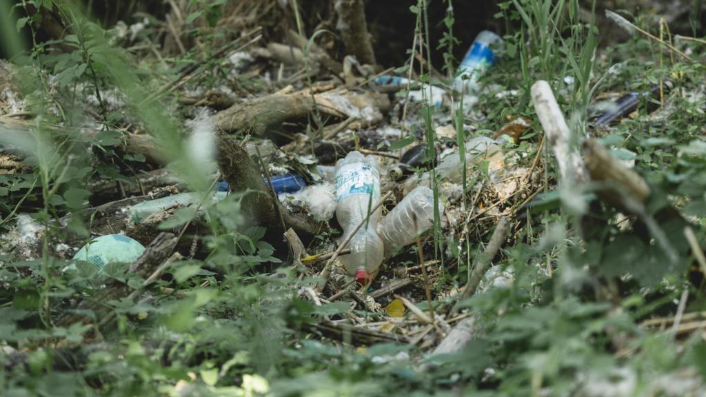 'Basuraleza' encontrada durante la limpieza del río Henares.