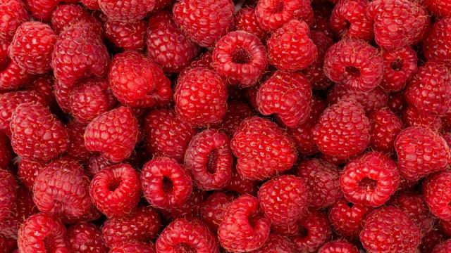 Frambuesas frescas