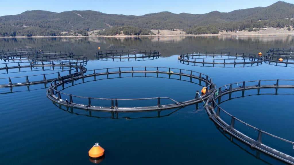 Piscifactorías.