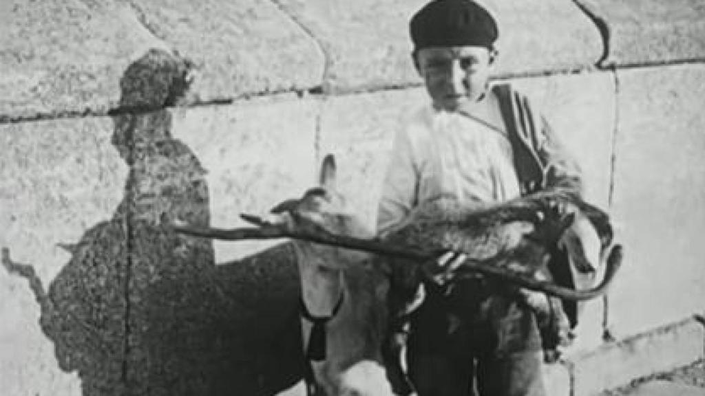 Niño en el Puente de Alcántara.
