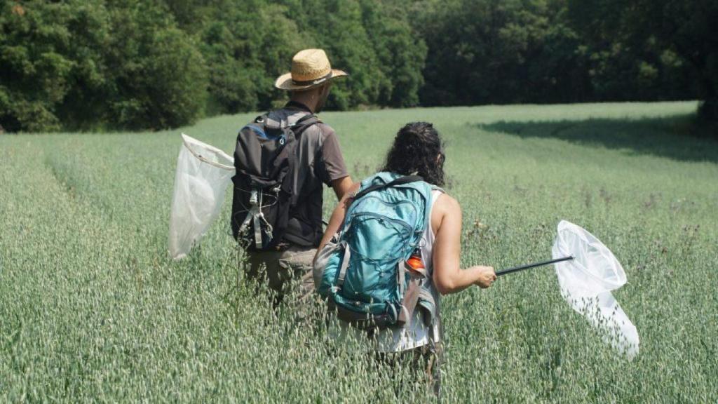 Voluntarios realizando el censo de mariposas.