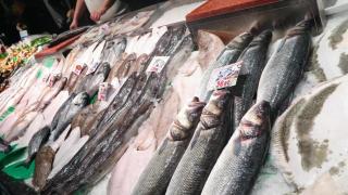pescado-medicos-piden-evitar