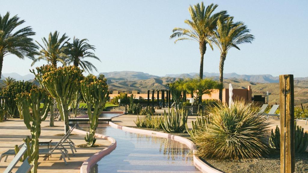 ¿Verano en Gran Canaria? Aquí van 8 experiencias que deberías vivir al menos una vez