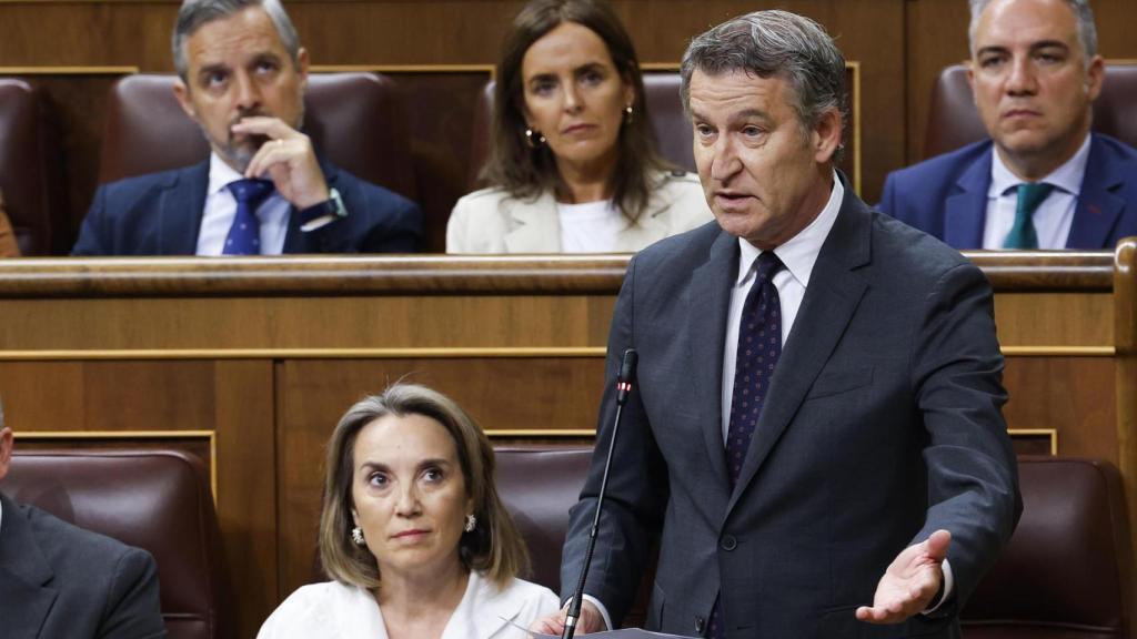 El líder del Partido Popular, Alberto Núñez Feijóo, en el Congreso.