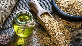 alimentos